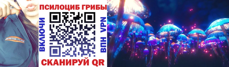 Галлюциногенные грибы Psilocybine cubensis  блэк спрут как войти  Юрга  как найти наркотики 